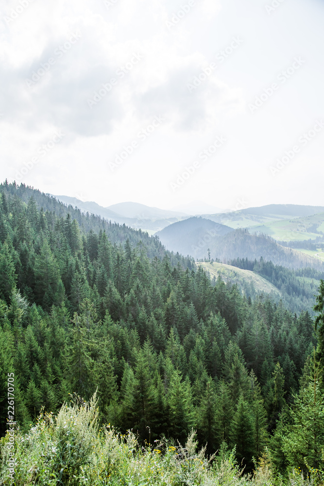 A beautiful mountain landscape in Tatra mountains in Slovakia, Europe. Summer scenery with mountains and forest. A beautiful mountain landscape in Tatra mountains in Slovakia, Europe. Summer scenery with mountains and forest.
