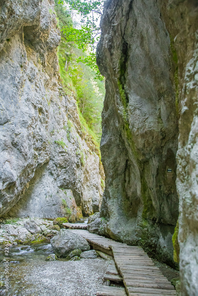A beautiful hiking trail in Low Tatra region in Slovakia. Walking path in mountains and forest. Summer landscape. A beautiful hiking trail in Low Tatra region in Slovakia. Walking path in mountains and forest. Summer landscape.