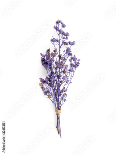 Fotografie Top view bouquet of dried and wilted purple Gypsophila flowers isolate on white