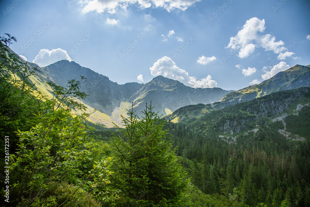 A beautiful summer landscape in mountains. Natural scenery in mountains, national park. Tatra mountains in Slovakia, Europe.
