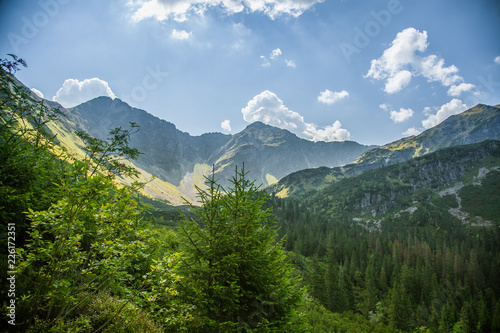 A beautiful summer landscape in mountains. Natural scenery in mountains, national park. Tatra mountains in Slovakia, Europe. © dachux21