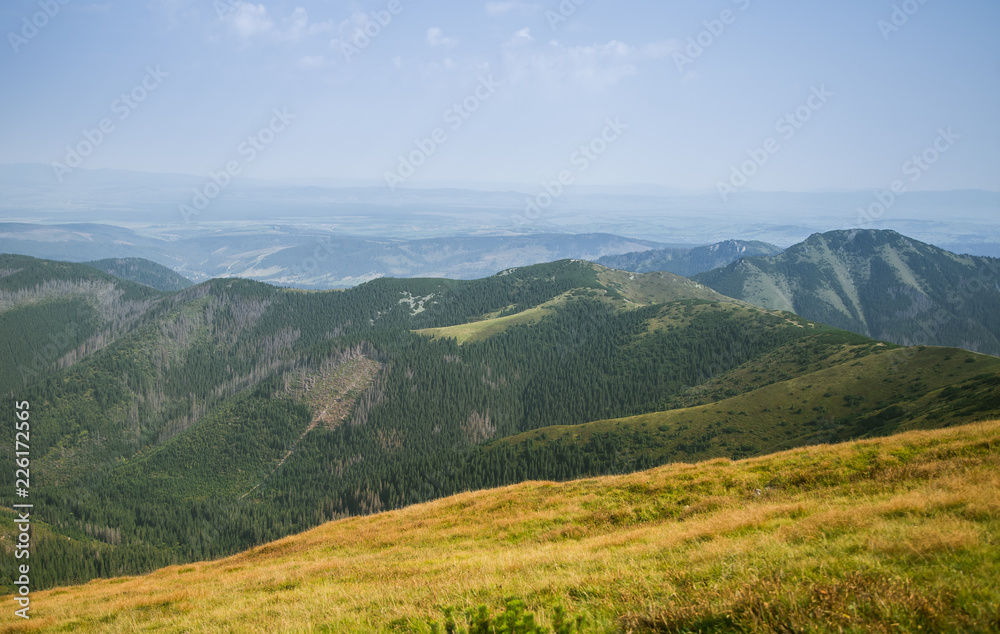 A beautiful summer landscape in mountains. Natural scenery in mountains, national park. Tatra mountains in Slovakia, Europe.