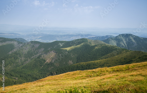 A beautiful summer landscape in mountains. Natural scenery in mountains  national park. Tatra mountains in Slovakia  Europe.