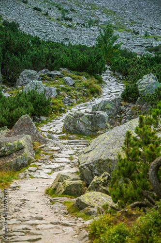 A beautiful hiking trail in the mountains. Mountain landscape in Tatry, Slovakia. Walking path scenery. © dachux21