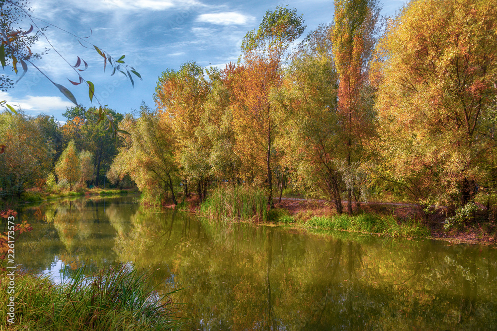 Fototapeta premium good autumn day on the shore. autumn colors. landscape.