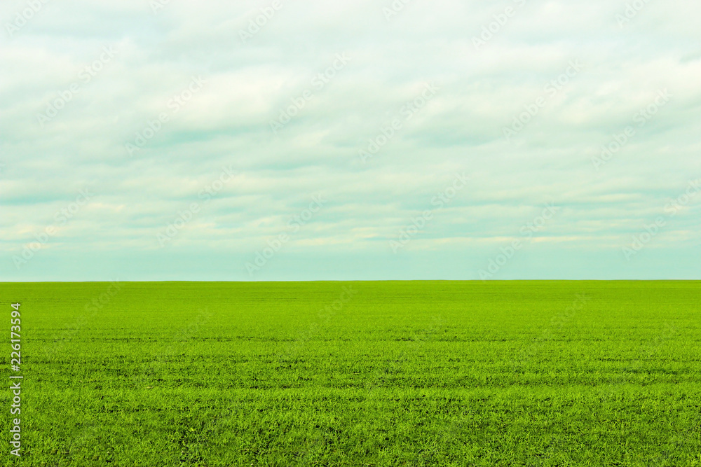 The boundless green field