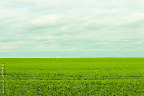 The boundless green field