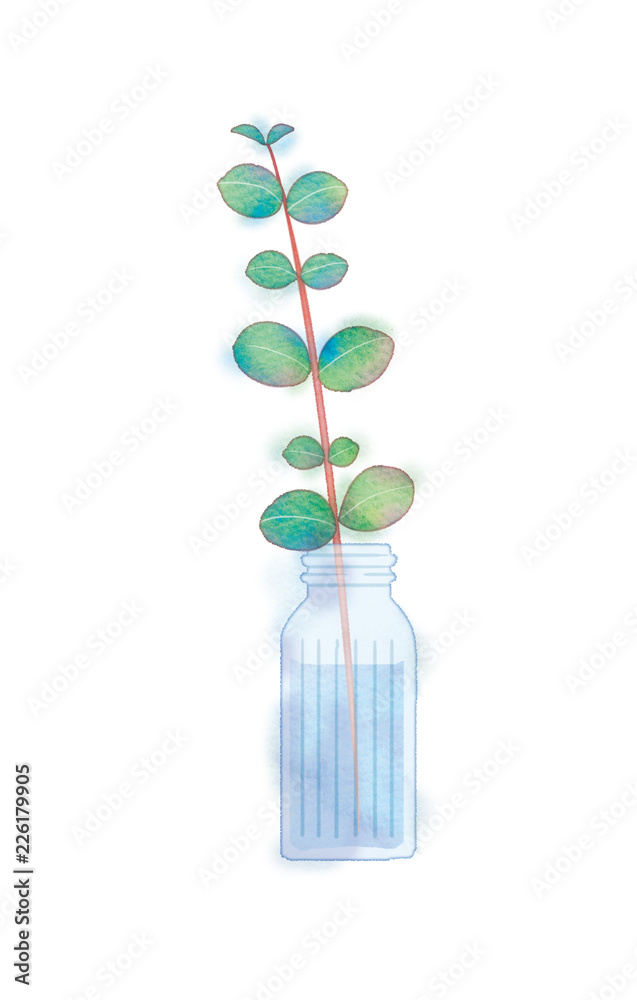 ユーカリと小瓶のイラスト Stock Illustration Adobe Stock