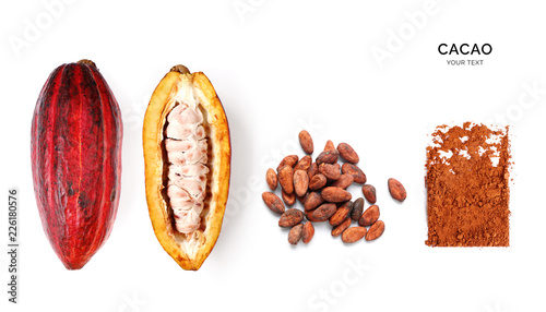 Creative layout made of cacao powder,  cacao fruit and cacao beans on the white background. Flat lay. Food concept. Macro  concept. photo