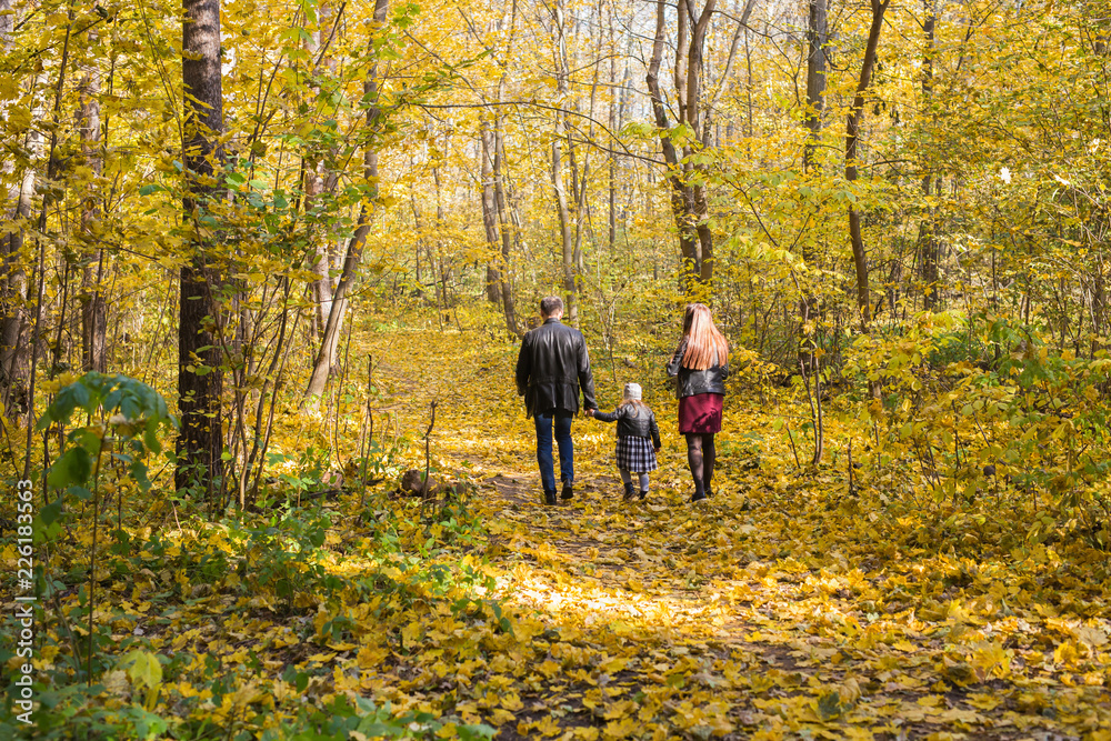 Fall, nature and family concept - family walking in autumn park, back view