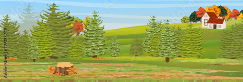 Spruce forest. Trees and mushrooms chanterelles. A small village house on a hill. Rural life. The nature of the temperate zone. Autumn deciduous trees. Vector landscape