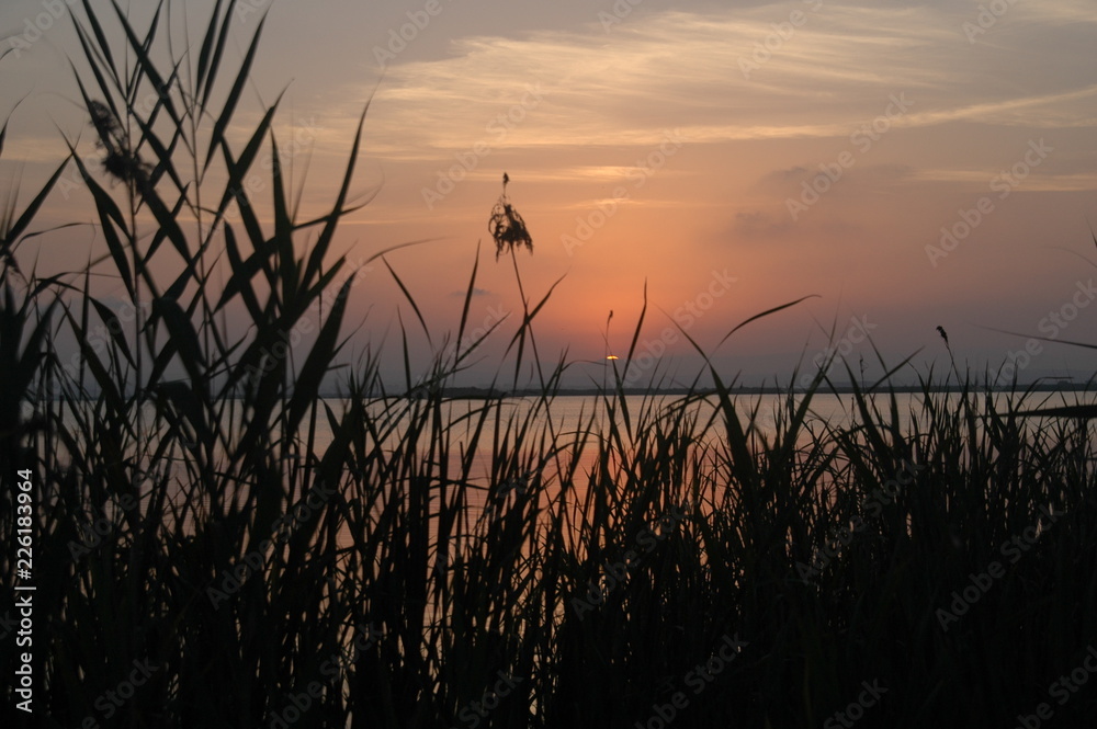 Atardecer en la Albufera Atardecer en la Albufera