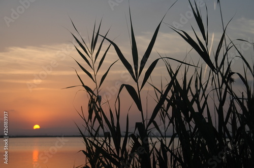 Atardecer en la Albufera