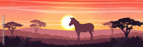 A zebra or a horse in savanna at sunset. Silhouettes of animals and plants. Realistic vector landscape. The nature of Africa. America. Reserves and national parks