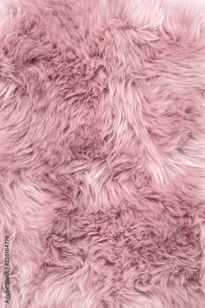 Sheep fur pink sheepskin rug background Sheep fur pink sheepskin rug background