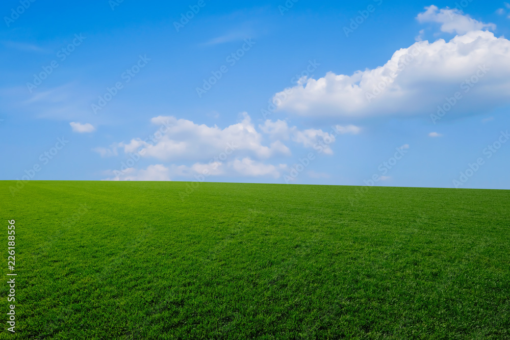 Green grass and blue sky with white clouds Green grass and blue sky with white clouds