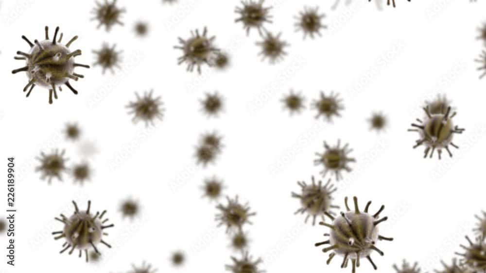 Flowing virus cells on white background. Seamless loop Flowing virus cells on white background. Seamless loop