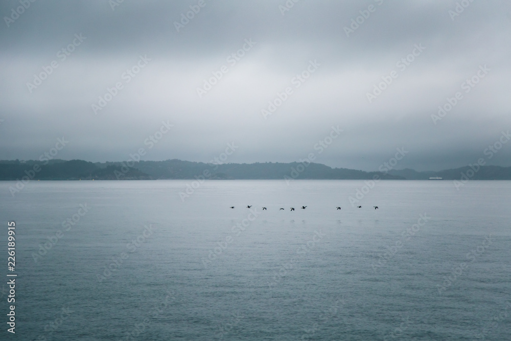 A dramatic, overcast scenery on the coeast of fjord during a ferry ride in Norway near Bergen. Moody autumn landscape of fjord. A dramatic, overcast scenery on the coeast of fjord during a ferry ride in Norway near Bergen. Moody autumn landscape of fjord.