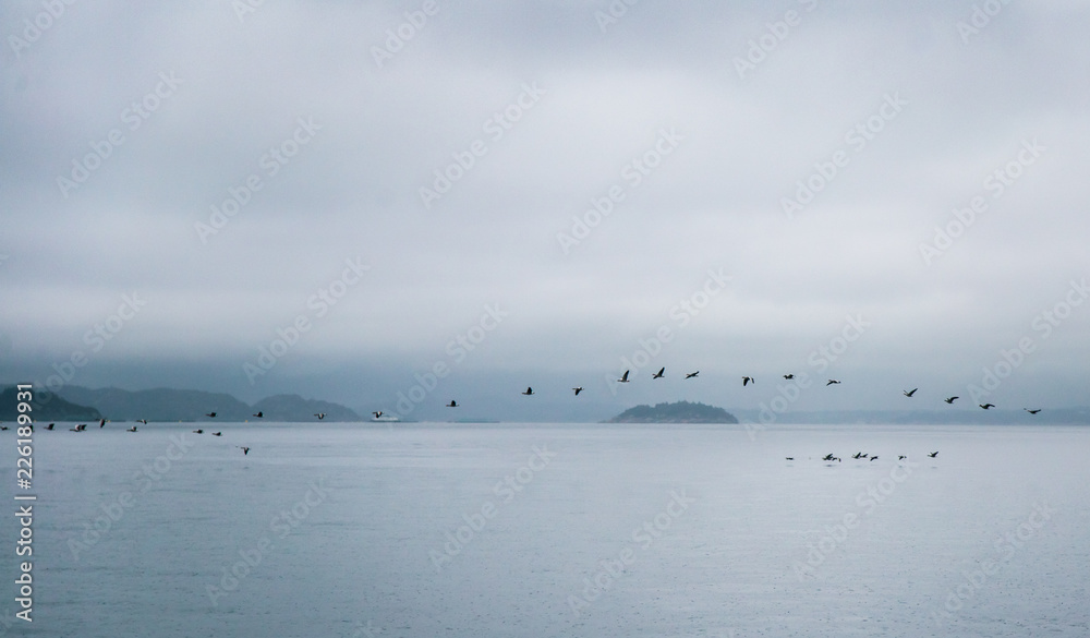 A dramatic, overcast scenery on the coeast of fjord during a ferry ride in Norway near Bergen. Moody autumn landscape of fjord.