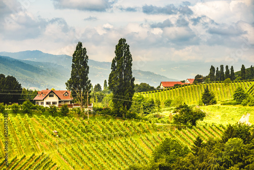 Austria  Slovenia Vineyards Sulztal area south Styria   wine country path to heart shaped street tourist spot