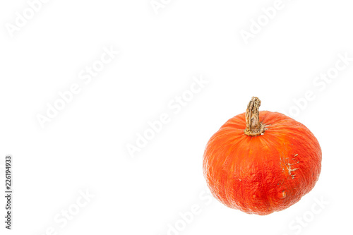 orange pumpkin crop isolated on white background