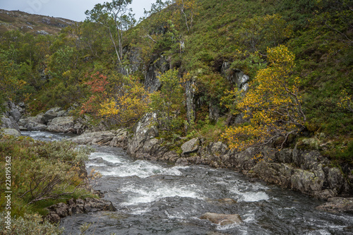 A beautiful mountain river rapids in mountains of Folgefonna National park in Norway. Autumn landscape of a river rapids.