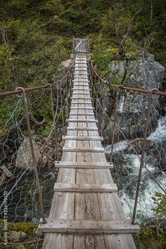 Fototapeta premium A beautiful mountain river rapids in mountains of Folgefonna National park in Norway. Autumn landscape of a river rapids.