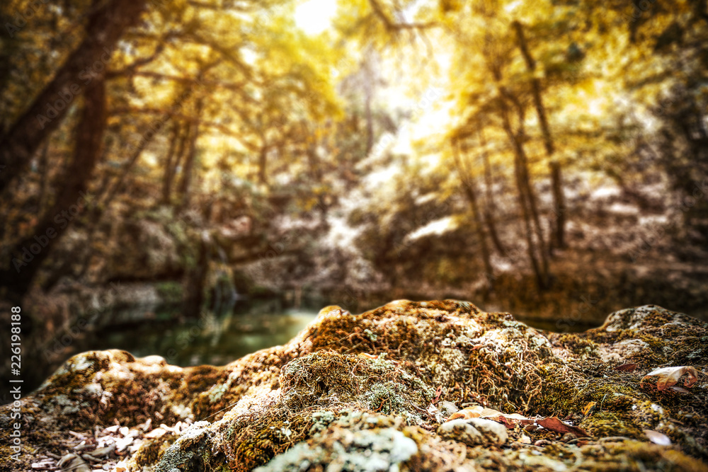 Autumn time background of free space for your decoration Autumn time background of free space for your decoration
