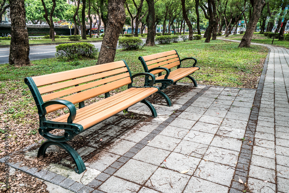 Taipei, Taiwan - June 18, 2018: Park, a chair in the park, relaxing, Banyan trees on Dunhua Road, Taipei. feeling calm