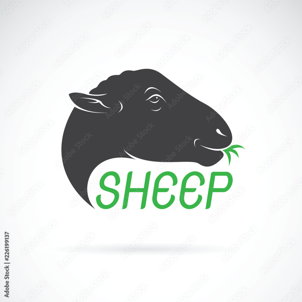 Naklejka premium Vector of sheep head design on white background. Wild Animals. Easy editable layered vector illustration.
