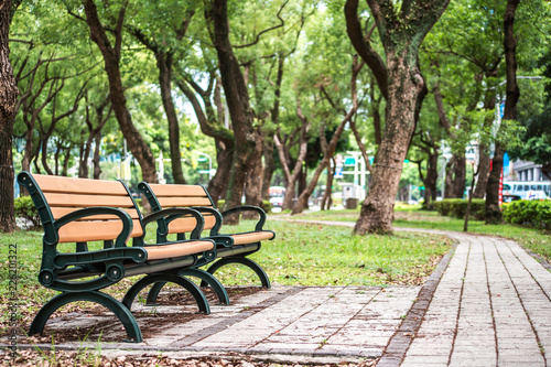 Park, a chair in the park, relaxing, Banyan trees on Dunhua Road, Taipei. feeling calm