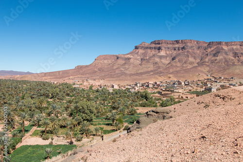 Fels, Palmen und Kasbah in Marokko