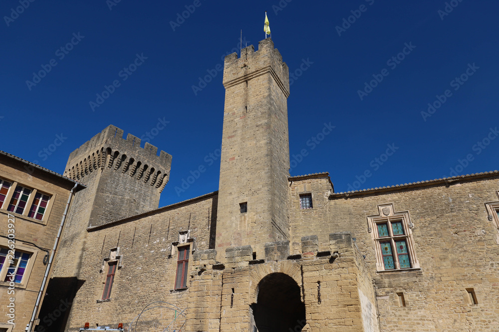 The famous medieval castle Emperi, Salon de Provence, France.