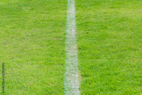 Close up of soccer football field. © motestockphoto