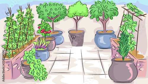 Home Garden Scene Illustration