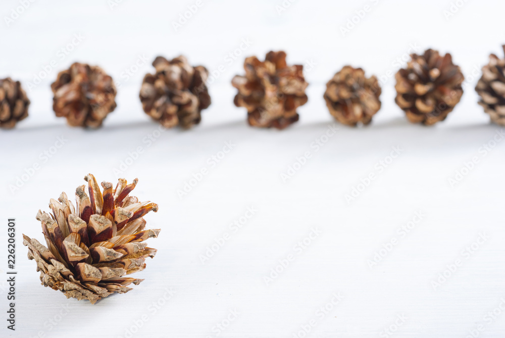 pine cones on white wood table, purity Christmas decoration pine cones on white wood table, purity Christmas decoration