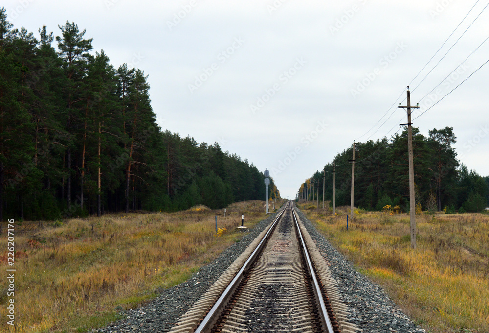 railway in autumn forest among birches for outdoor walks