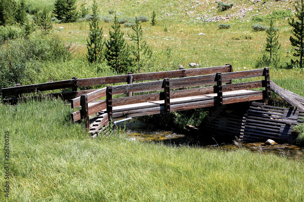 Fototapeta premium wooden bench in field