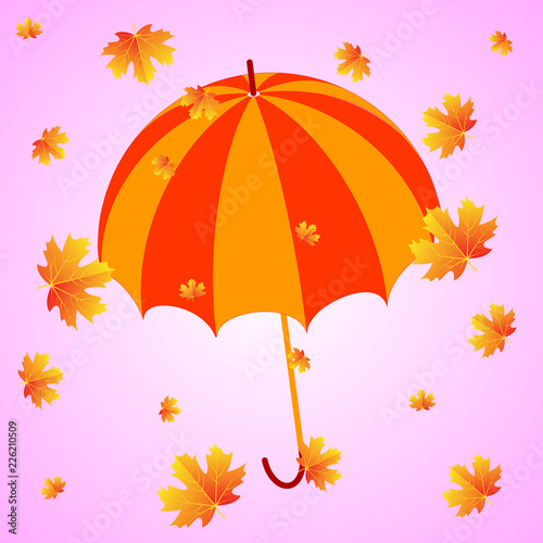 umbrella and autumn orange falling maple leaves