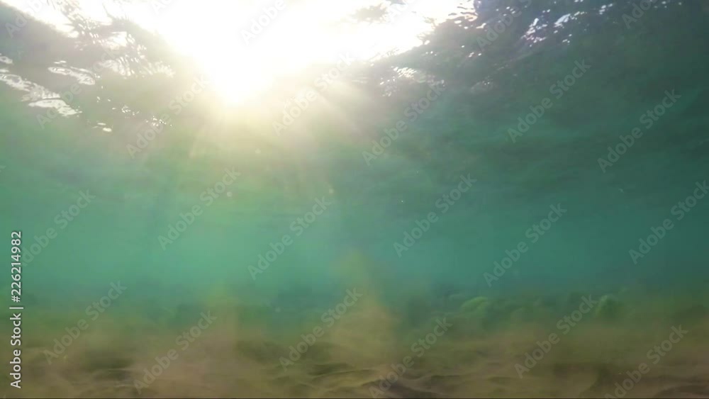 Fondo marino con rayos del sol a través de las olas del mar.Imagen idílica del fondo del océano.