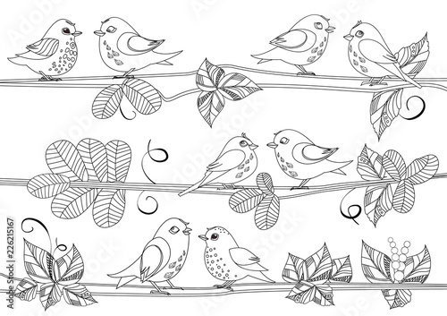 happy birds sitting on branches of tree for your coloring book