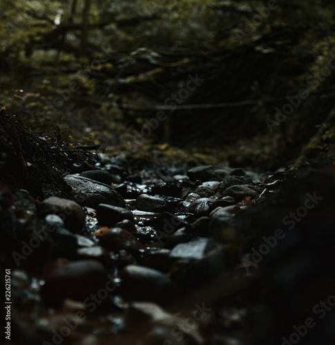 Small water stream flowing through rock in dark forest