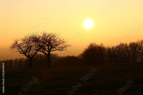 Wallpaper Mural evening in wintertime_2 Torontodigital.ca