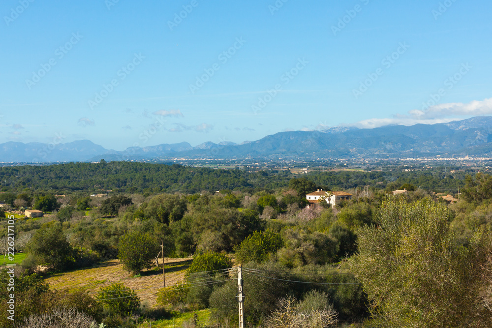 Naklejka premium Landscapes around Costitx, Mallorca, Spain