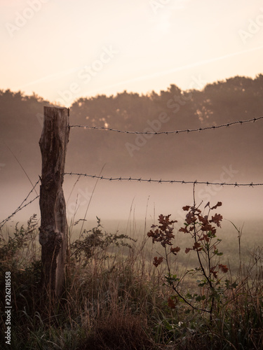 abendrot