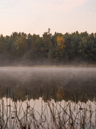 landschaft