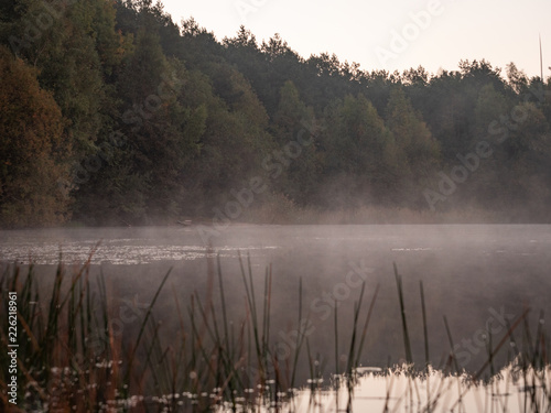 landschaft