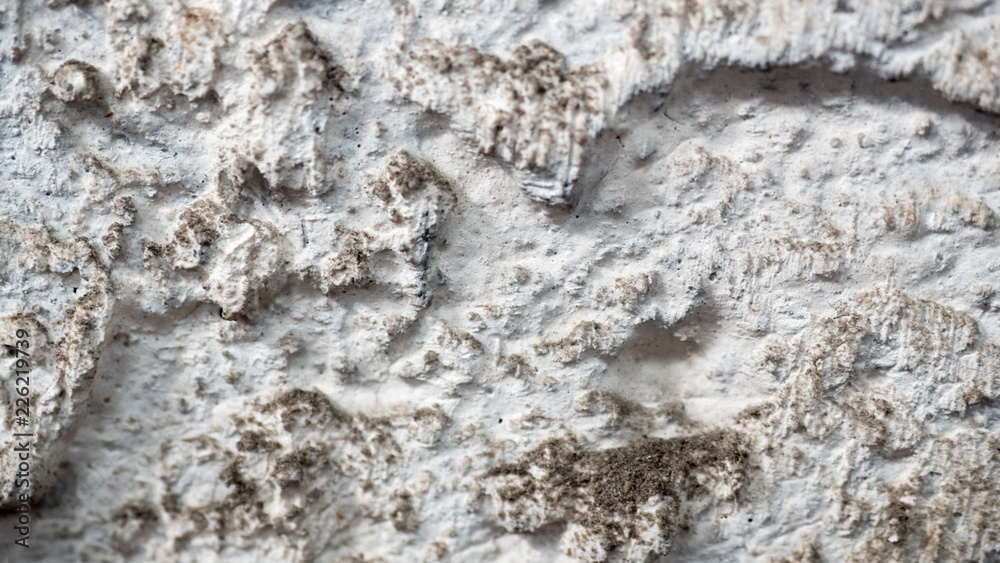close up wall background or texture close up wall background or texture