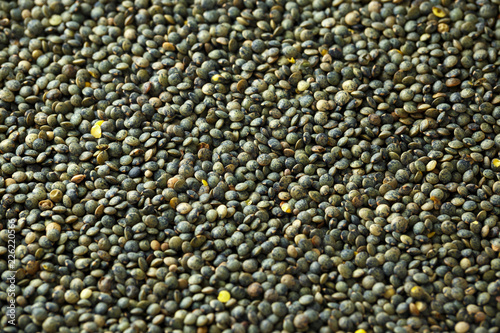 Organic lentils dry seeds close-up, healthy super diet food