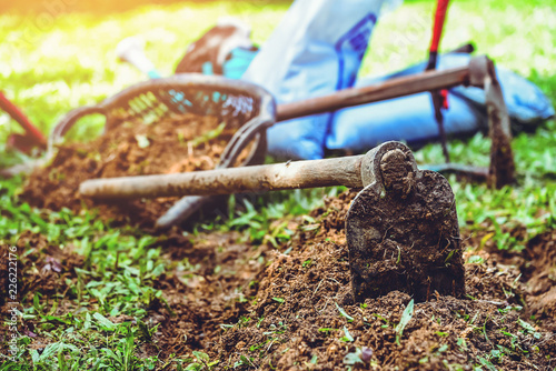 plant vegetables gardening at The backyard. cultivation equipment Agriculture. watering can. spade. Potted